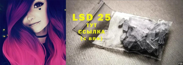 дурь Богданович
