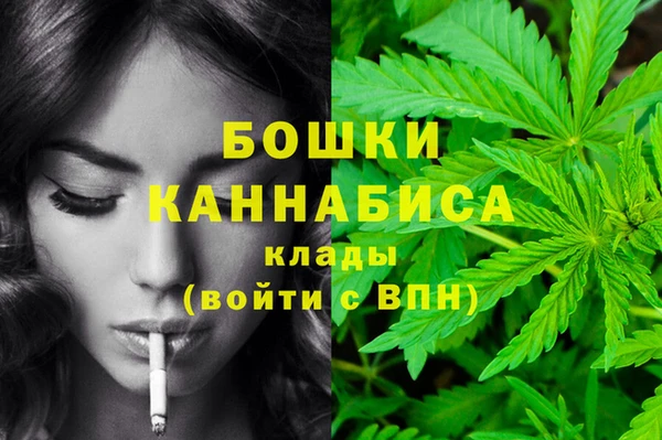 дурь Богданович