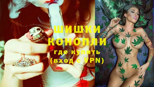 дурь Богданович