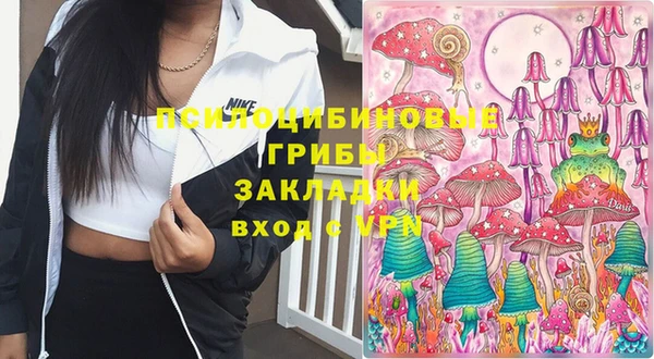 дурь Богданович