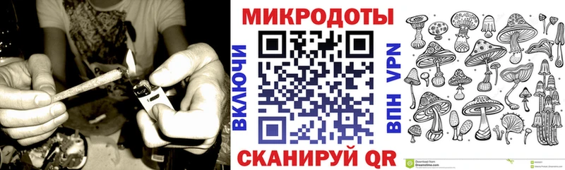 Купить закладки  Камышин  Галлюциногенные грибы мицелий 